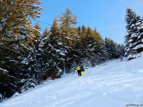 20190206-gibloux-176.jpg