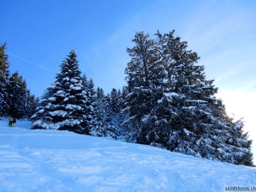 20190206-gibloux-178.jpg