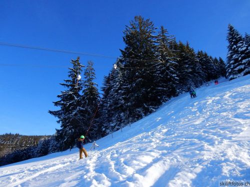 20190206-gibloux-182.jpg