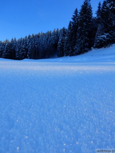 20190206-gibloux-183.jpg