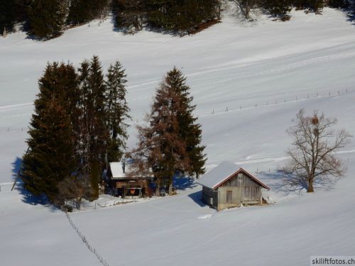 20190206-gibloux-187.jpg