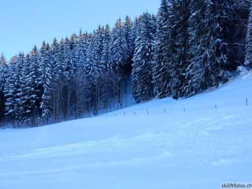 20190206-gibloux-191.jpg