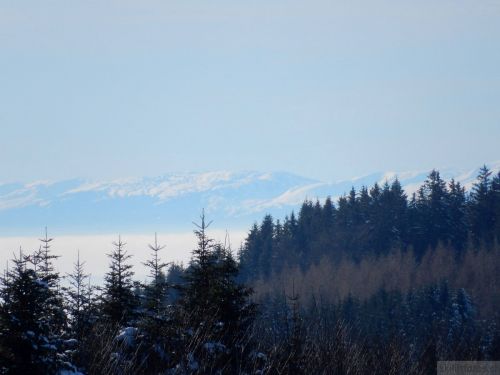 20190206-gibloux-195.jpg