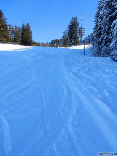 20190206-gibloux-199.jpg