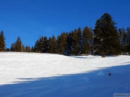 20190206-gibloux-202.jpg