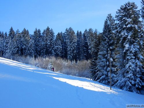 20190206-gibloux-204.jpg