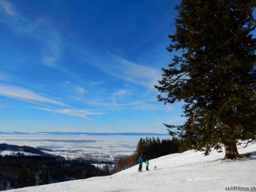 20190206-gibloux-212.jpg