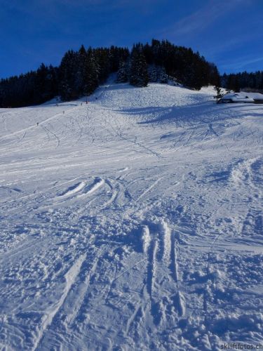 20190206-gibloux-213.jpg