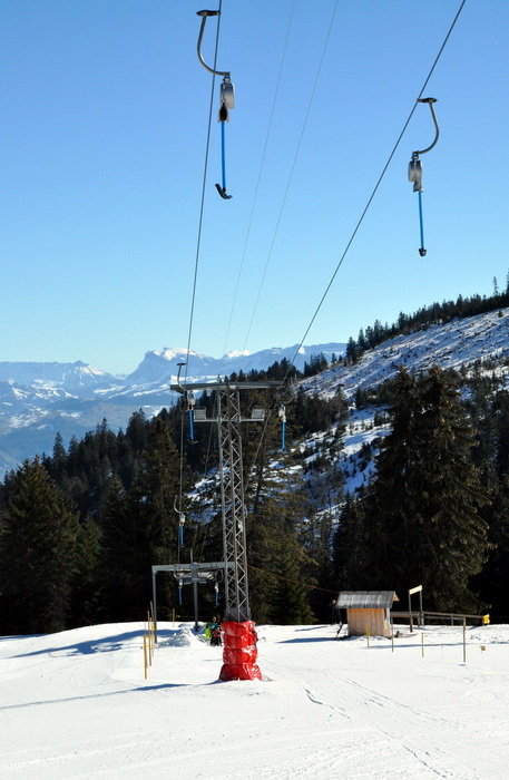 1. März 2010

