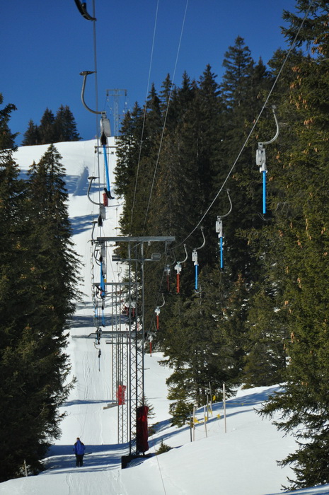 1. März 2010
