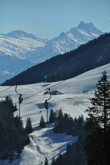 1. März 2010
