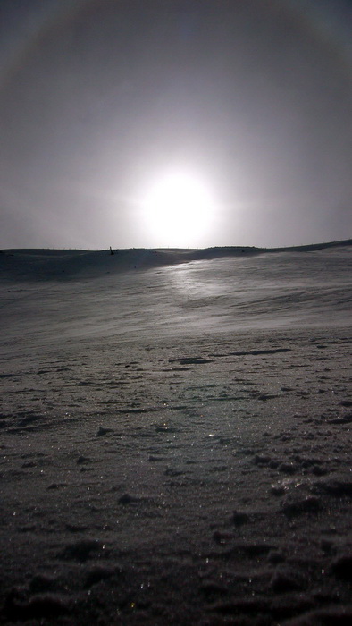 1. März 2010
