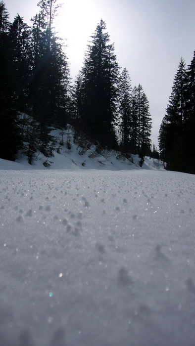 1. März 2010, auf dem Waldweg (Skilift Länggrätli)
