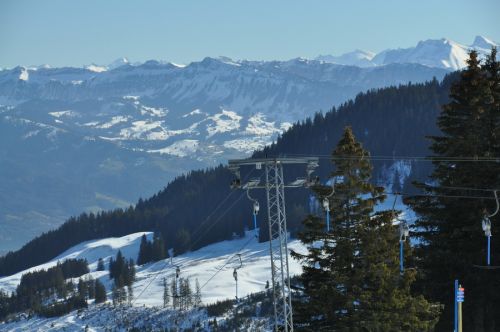 1. März 2010
