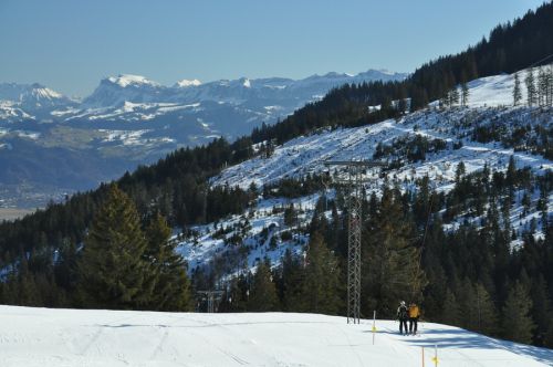 1. März 2010
