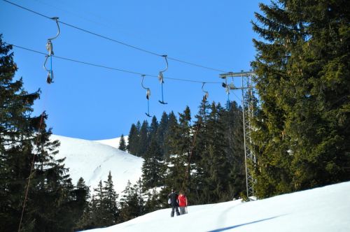 1. März 2010
