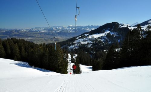 1. März 2010
