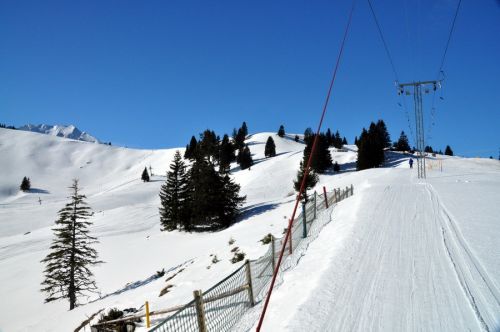 1. März 2010
