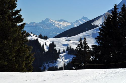 1. März 2010
