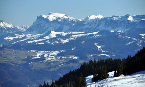 1. März 2010
