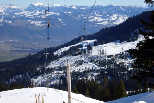 1. März 2010
