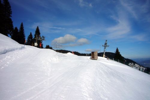 1. März 2010

