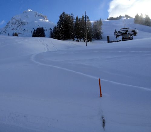 16. Februar 2013, Schwefelbergbad
