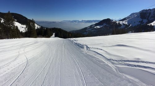 7. März 2014
