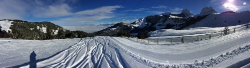 21. Januar 2015
