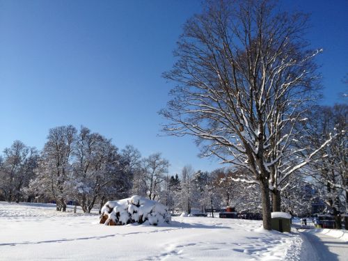 11. Dezember 2012

