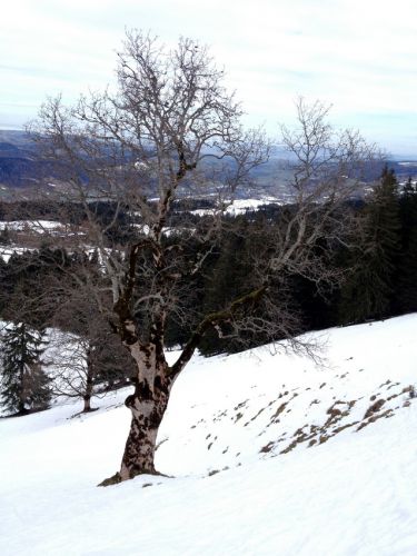 9. März 3013
