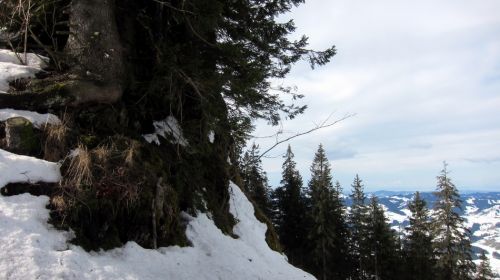 9. März 3013
