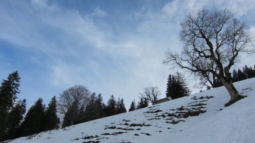 9. März 3013
