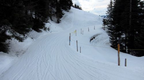 9. März 3013

