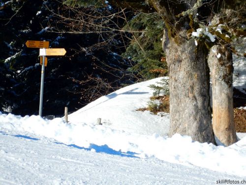 20190205-heimenschwand-083.jpg
