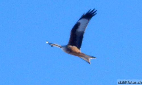 20190205-heimenschwand-092.jpg