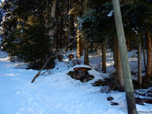 20190205-heimenschwand-155.jpg