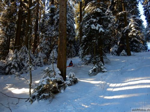 20190205-heimenschwand-156.jpg