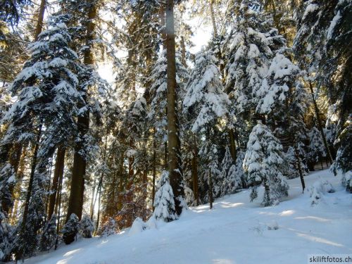 20190205-heimenschwand-158.jpg