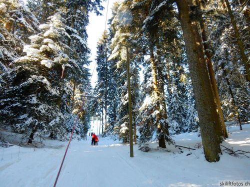 20190205-heimenschwand-159.jpg