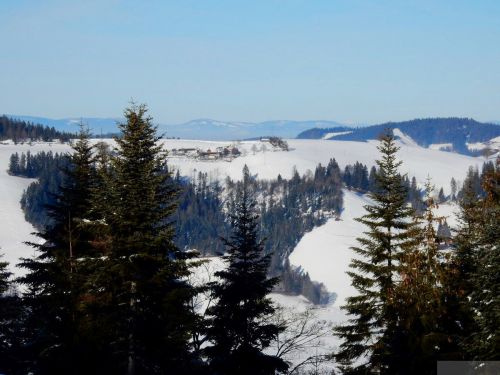 20190205-heimenschwand-183.jpg