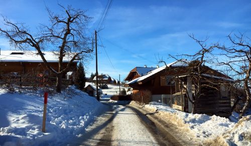 23. Januar 2017
