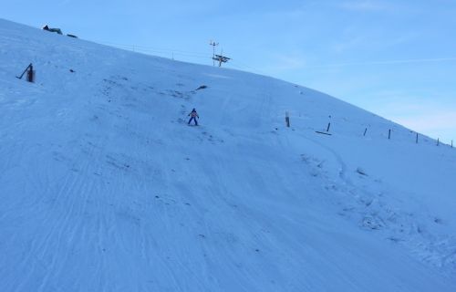 23. Januar 2017
