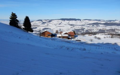 23. Januar 2017

