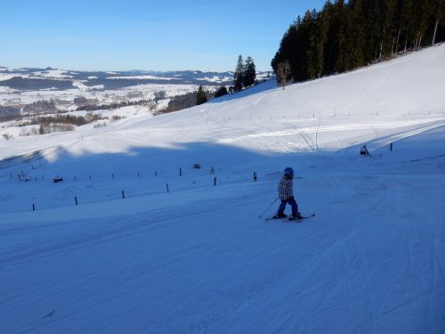 23. Januar 2017
