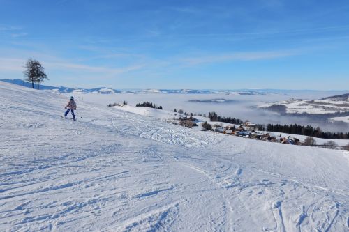 23. Januar 2017
