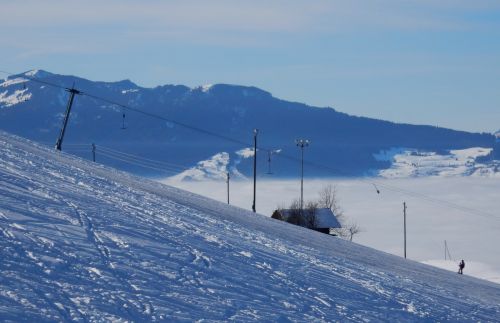 23. Januar 2017
