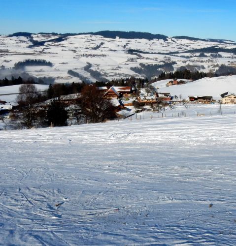 23. Januar 2017
