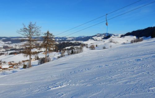 23. Januar 2017
