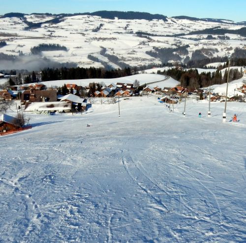 23. Januar 2017
